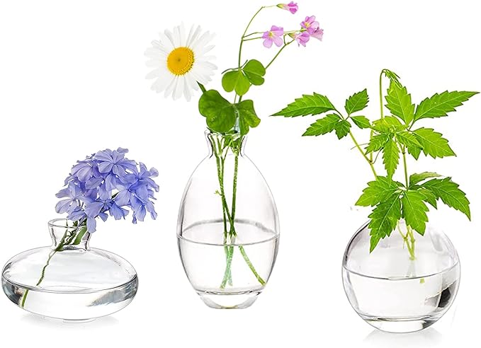 Glass Bud Vases Set of 3, Hewory Cute Clear Small Vases Handmade, Mini Glass by Hewory