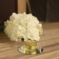 WGV 2 Inch Gold Speckle Square Cube Glass Votive Candle Holder Bulk, Small Tiny by WGVInternational-OpusGlassware