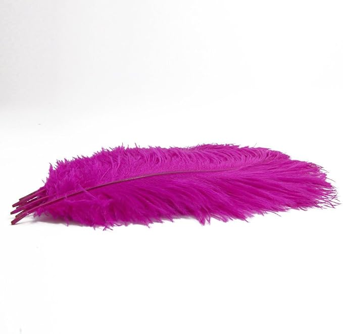 KOLIGHT® 40pcs 12''~14'' Natural Ostrich Feathers - Image 3