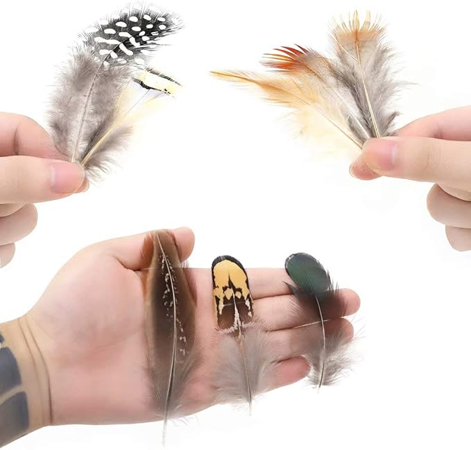 360pcs 12 Styled Natural Feathers Assorted Mixed Feathers - Image 4