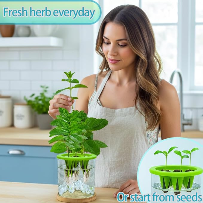 Versatile Plant Propagation Station Vase Hydroponic Planter Pot, Glass Plant - Image 3