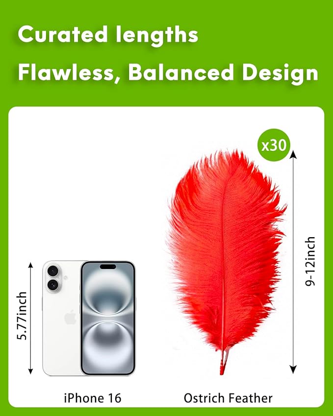 NEWONG 30pcs Red Ostrich Feathers Natural Bulk 9-12inch Vase Craft Wedding Home - Image 2