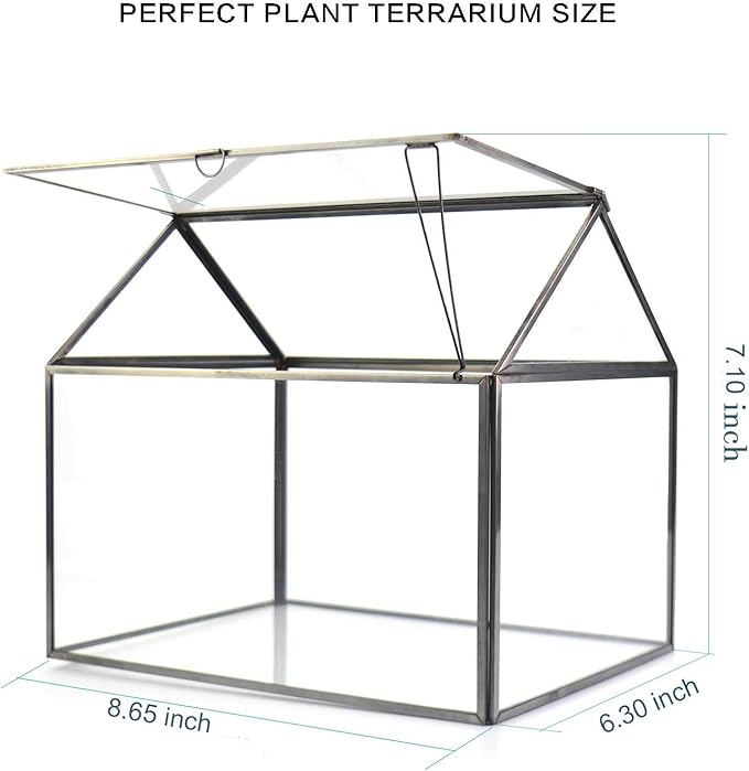 Black 1 Large Glass Plant Terrarium Kit - Image 6