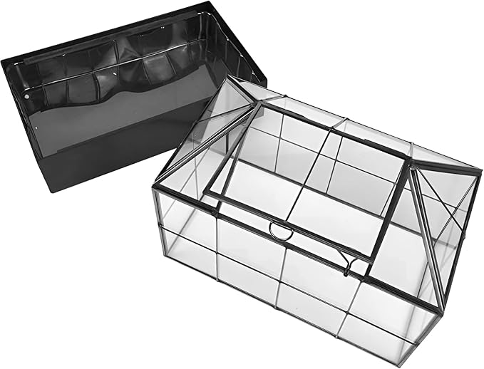 Large Tall Plant Terrarium Glass Greenhouse - Image 4