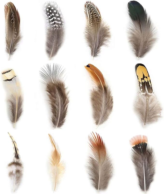 360pcs 12 Styled Natural Feathers Assorted Mixed Feathers by Ballinger