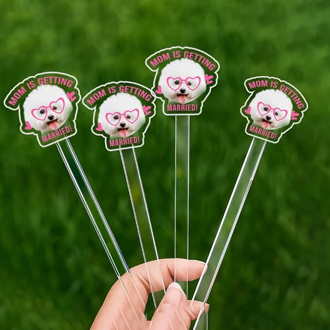 Custom 50 Pcs Double-Sided Wedding Pet Stir Sticks, Personalized Dog Cat Stir - Image 5