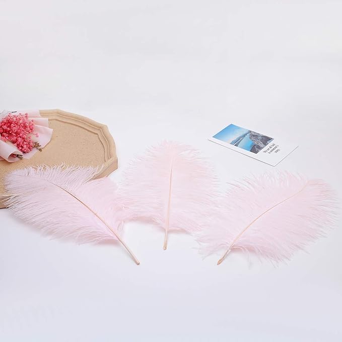 24pcs Natural Light Pink Ostrich Feathers 10-12inch - Image 8