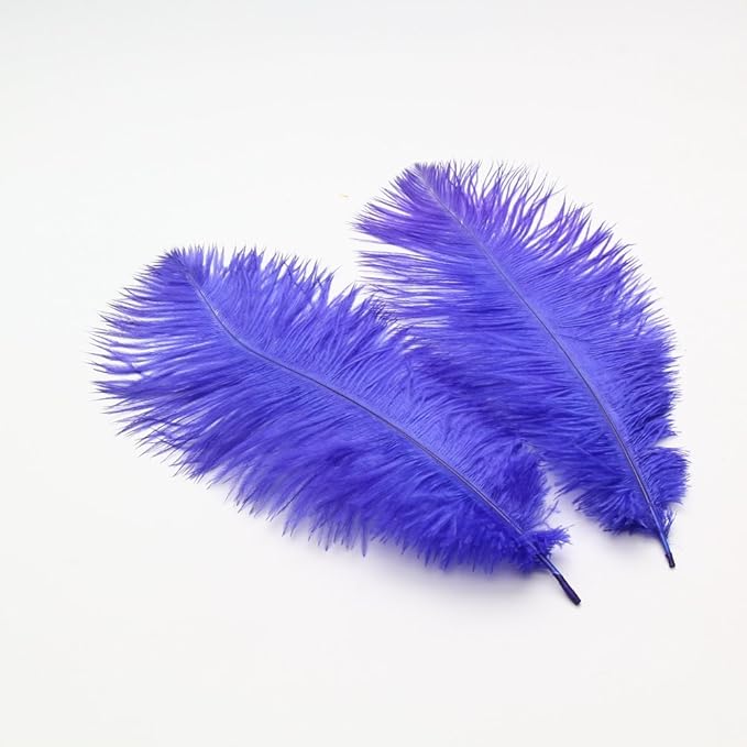 Sowder 16-18inch Ostrich Feathers Plume by Sowder