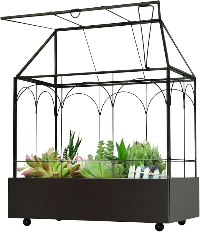 Large Tall Glass Plant Terrarium – House Succulent Terrarium Kit by Yimorence