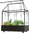 Large Tall Glass Plant Terrarium – House Succulent Terrarium Kit by Yimorence