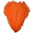 KOLIGHT® 40pcs 12''~14'' Natural Ostrich Feathers by KOLIGHT
