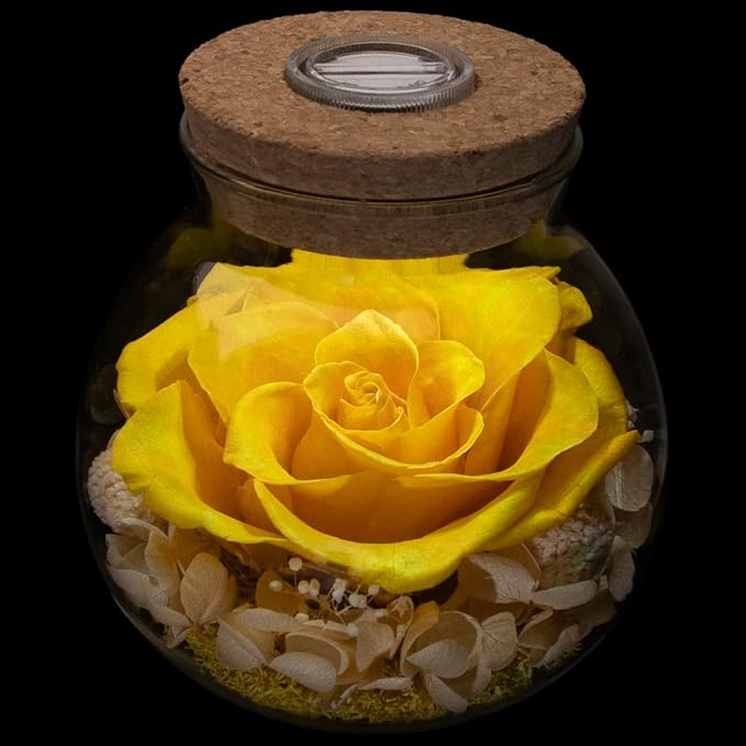 Preserved Real Roses with Colorful Mood Light Wishing Bottle, Eternal by roliys