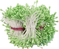 HAHIYO 700Pcs 3mm Light Green Pearl Double Head Flower Stamen Pistil Hand-Made by HAHIYO