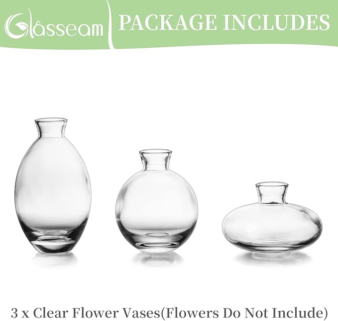 Glasseam Clear Glass Bud Vase - Image 8