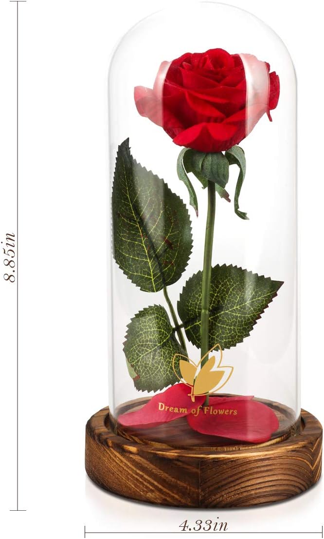 Christmas Day Rose Gifts for Her, Beauty and The Beast Rose in Glass Dome Lasts - Image 3
