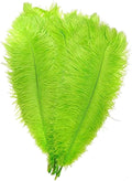 KOLIGHT 40pcs 12''~14'' Natural Ostrich Feathers by KOLIGHT