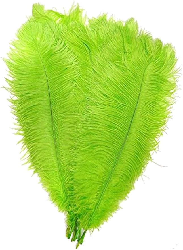 KOLIGHT 40pcs 12''~14'' Natural Ostrich Feathers by KOLIGHT