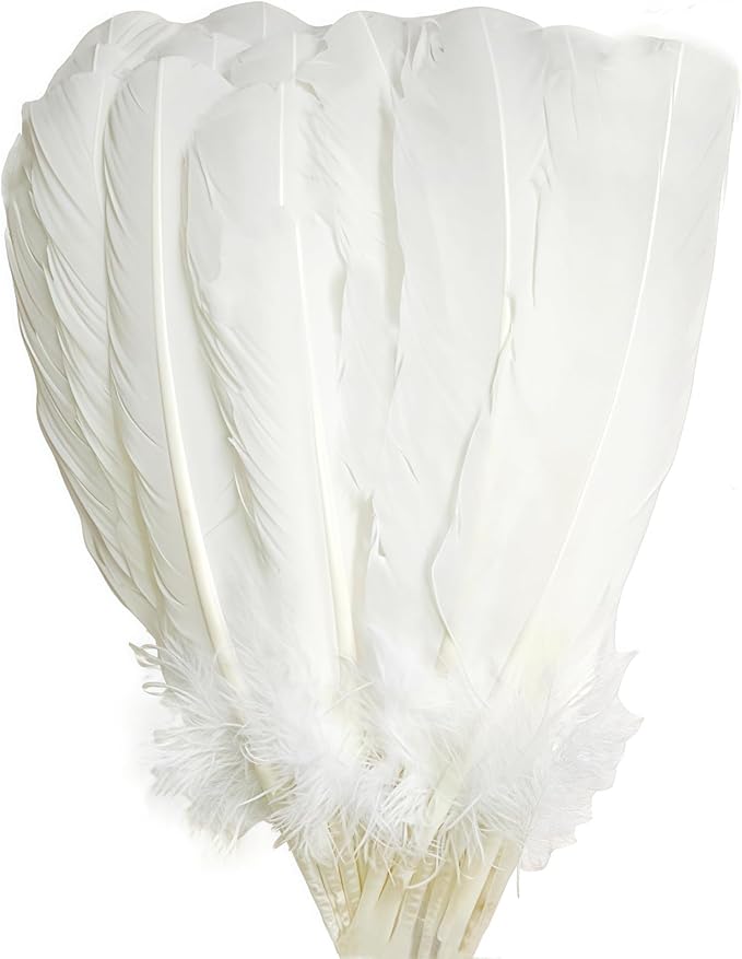 White Turkey Feathers, Turkish Feather by Unknown