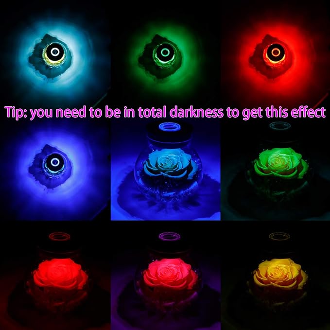 Preserved Real Roses with Colorful Mood Light Wishing Bottle, Eternal - Image 5