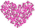 3000 Pcs Glitter Cute Sprinkle Party Confetti Table Decoration by Comemela