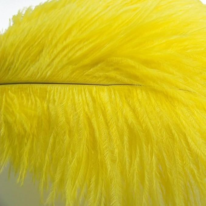 Kolight® 40pcs 12''~14'' Natural Ostrich Feathers - Image 5