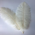 Sowder 10-12inch Ostrich Feathers Plume by Sowder