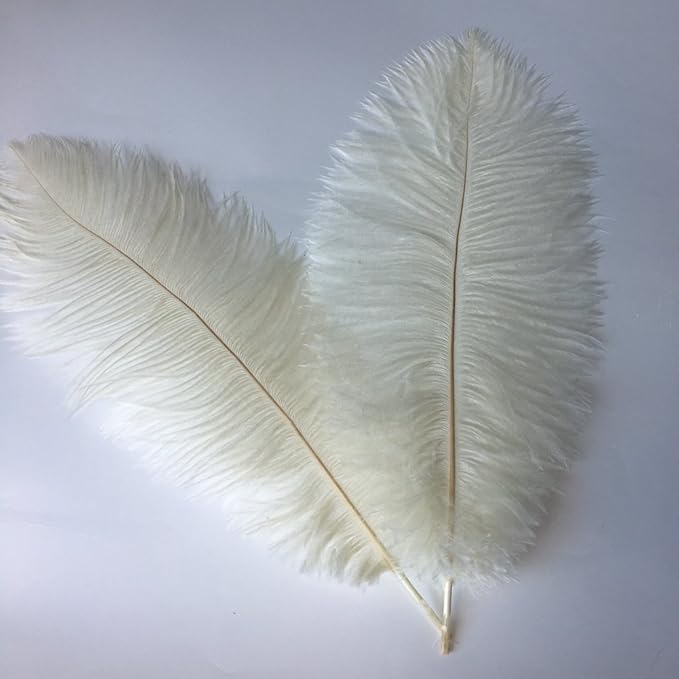 Sowder 10-12inch Ostrich Feathers Plume by Sowder