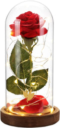 Christmas Day Rose Gifts for Her, Beauty and The Beast Rose in Glass Dome Lasts by DreamofFlowers