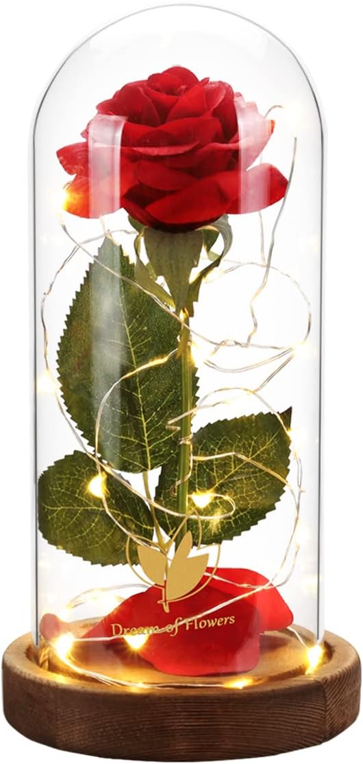 Christmas Day Rose Gifts for Her, Beauty and The Beast Rose in Glass Dome Lasts by DreamofFlowers
