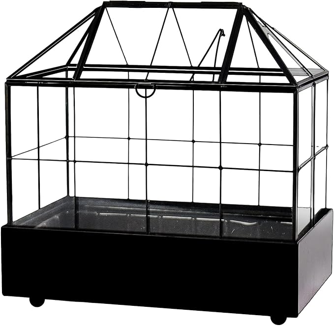 Large Tall Plant Terrarium Glass Greenhouse - Image 6