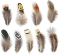 180pcs 9 Styled Natural Feathers Assorted Mixed Feathers by Ballinger