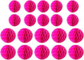 20pcs Honeycomb Flower Balls by ZGjoy
