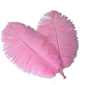 Sowder 16-18inch Ostrich Feathers Plume by Sowder