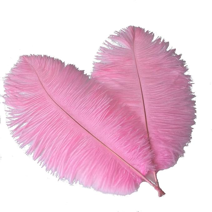 Sowder 16-18inch Ostrich Feathers Plume by Sowder