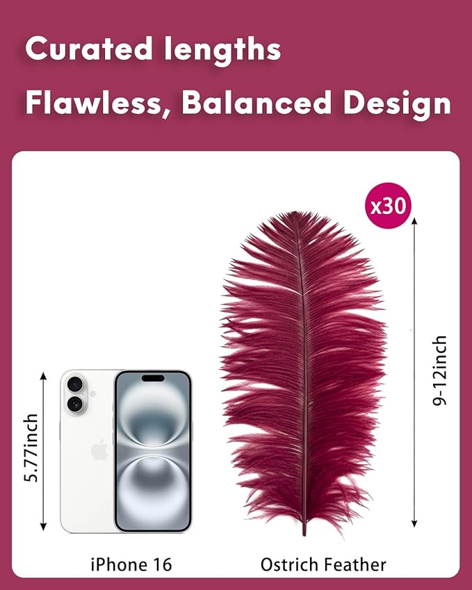 NEWONG 30pcs Wine red Ostrich Feathers Natural Bulk 9-12in（23-30cm） Vase Craft - Image 2