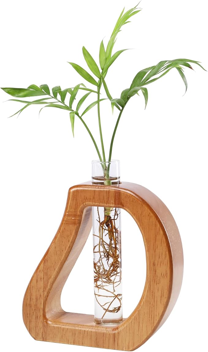 Plant Propagation Stations Wall Hanging Terrariums Home Decor Plants Glass Test by Chonsun