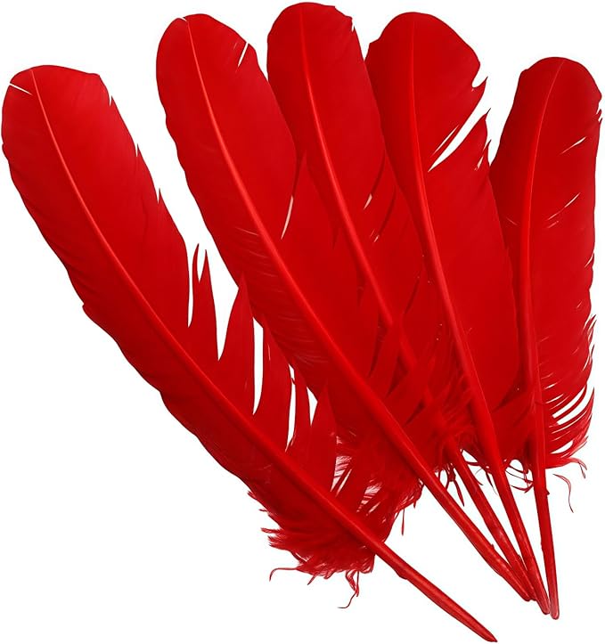 Red Turkey Feathers, Turkish Feather - Image 3