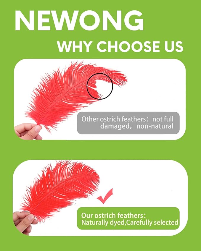 NEWONG 30pcs Red Ostrich Feathers Natural Bulk 9-12inch Vase Craft Wedding Home - Image 5
