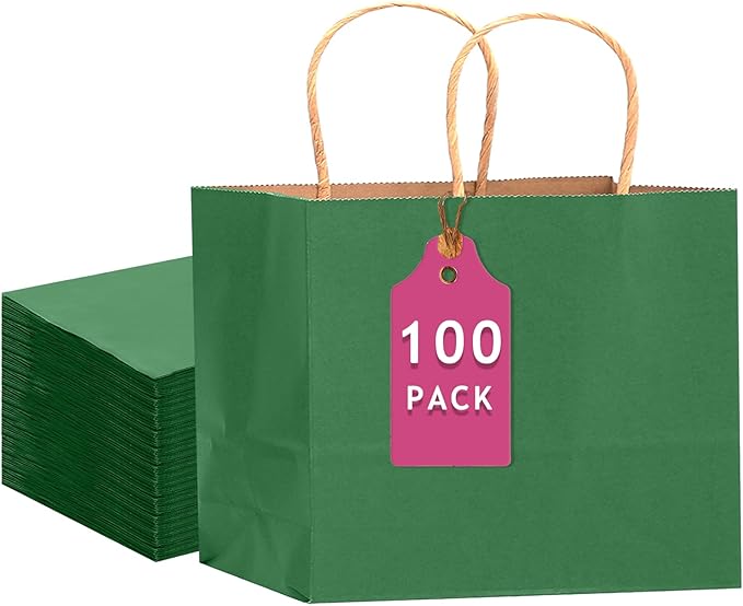 qiqee 100PCS Large Gift Bag by Qiqee
