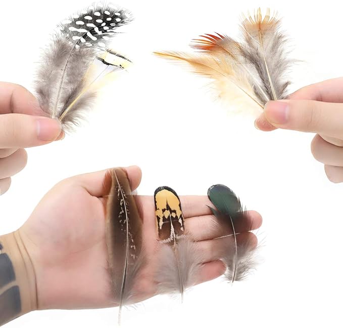 Ballinger 240pcs 12 Styled Natural Feathers Assorted Mixed Feathers - Image 5