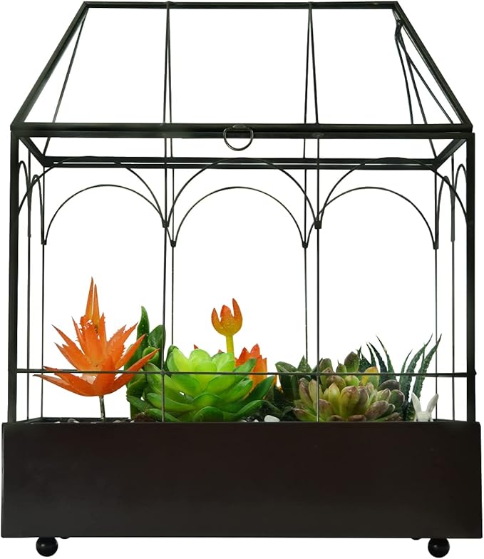 Large Tall Glass Plant Terrarium – House Succulent Terrarium Kit - Image 2