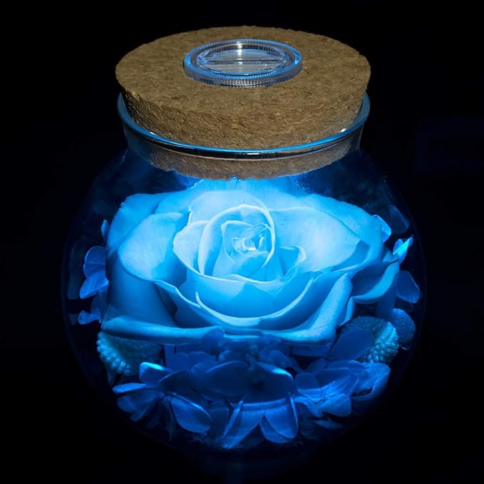 Preserved Real Roses with Colorful Mood Light Wishing Bottle, Eternal by roliys