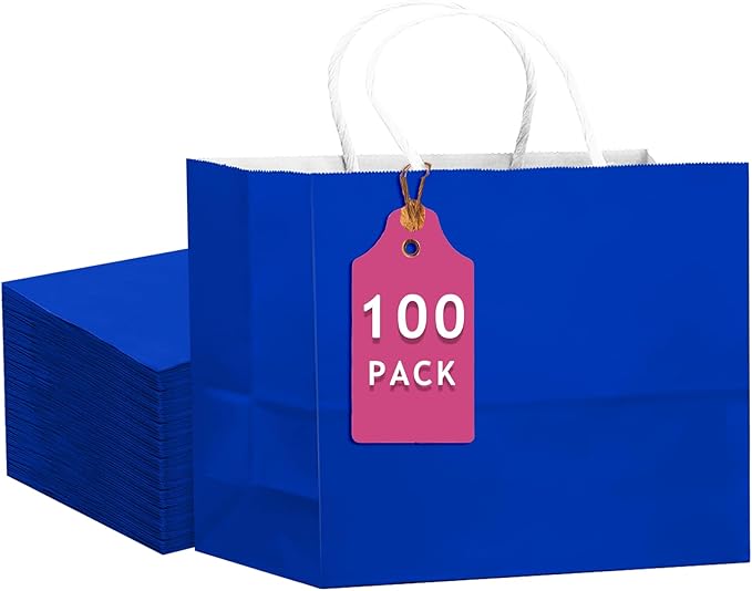 qiqee 100PCS Large Gift Bag by Qiqee