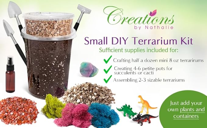 – DIY Large Terrarium Starter Kit - Image 7
