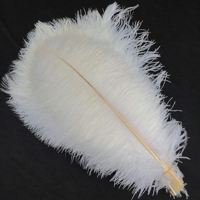 Sowder 14-16inch Ostrich Feathers, Ostrich Plume, Wedding centerpieces Feathers - Image 5