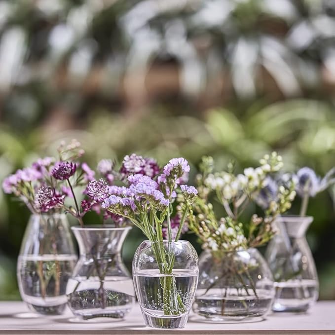 CHIVE ‘George’ Glass Bottle Flower Vases — Set of 6 — Small, Elegant Clear - Image 7
