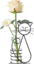 Marbrasse Desktop Glass Planter Hydroponics Vase, Planter Bulb Vase by Marbrasse