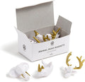 U Brands Mini Flower Fashion Small Magnet Set, Office Supplies by UBrands