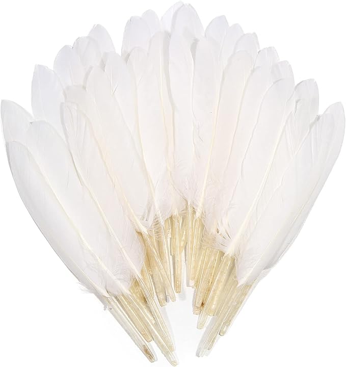 FeelfunFeather 120pcs White Goose Cochettes Feather Natural Bulk 4-6 inch by FeelFunFeather
