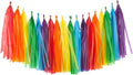 Rainbow Tissue Paper Tassels Colorful Party Tassel Garland Banner Decorations by YESON
